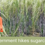 Yogi Government Raises Sugarcane Prices Again
