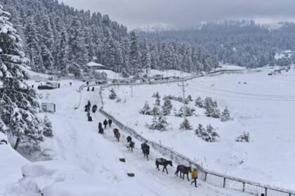 Kashmir Shivers as Temperatures Plunge Below Freezing