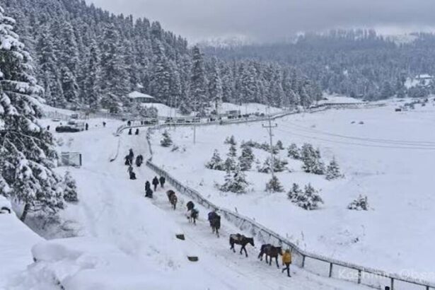 Kashmir Shivers as Temperatures Plunge Below Freezing